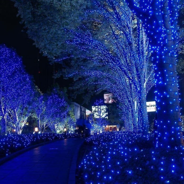 Decoratiune Solara pentru Exterior IP44, 1000 led-uri, 100m, liniara - Albastru