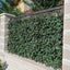 Lichidare de Stoc! Gard Artificial cu Model Frunze Verzi pentru Decorarea Gradinii, 100 x 300 cm