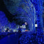 Decoratiune cu Incarcare Solara, 50 metri, 500 led - Albastru