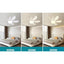 d66fabbe-558a-42c8-a224-348254e038e5_1