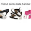 Set 6 organizatoare pentru incaltaminte